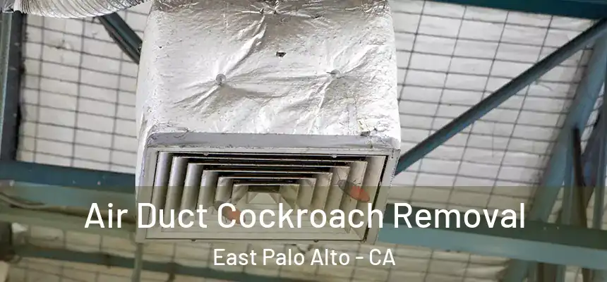  Air Duct Cockroach Removal East Palo Alto - CA