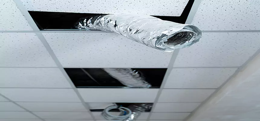 Affordable HVAC Sanitizing After Pest Removal in East Palo Alto