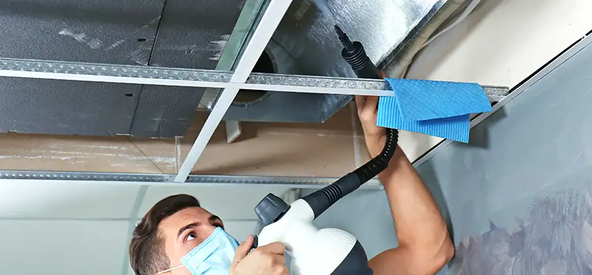 Our Air Duct Rodent Removal Services in East Palo Alto, CA