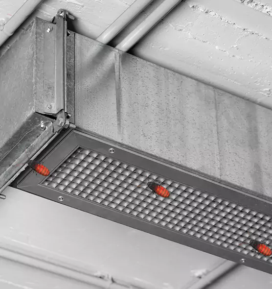 Affordable Insect Removal from Air Ducts in East Palo Alto, CA